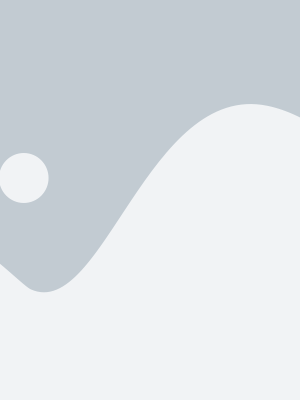 elementor-placeholder-image